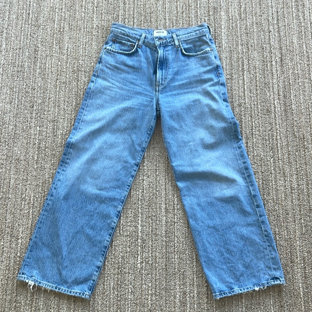 AGOLDE Harper Wide Leg Jeans